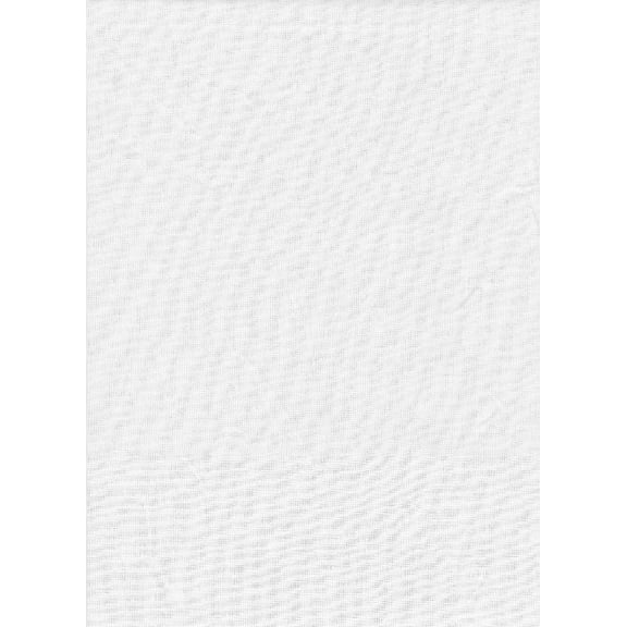 Promaster SystemPRO Solid Muslin Studio Backdrop - 10x20' - White