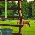 Funny Gifts Loaged Adjustable Nylon Bucket Strap For Water Buckets funny-gifts-loaged-adjustable-nylon-bucket-strap-for-water-buckets