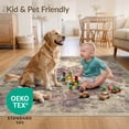 thumbnail image 4 of ODIKA 4'x6' Ultra-Soft Area Rug, Boho Bouquet Distressed Farmhouse Scrollwork Border Ornate Vintage Flowing None Washable, Bare feet friendly, Silk-Touch for Bedroom Home office, 4 of 7
