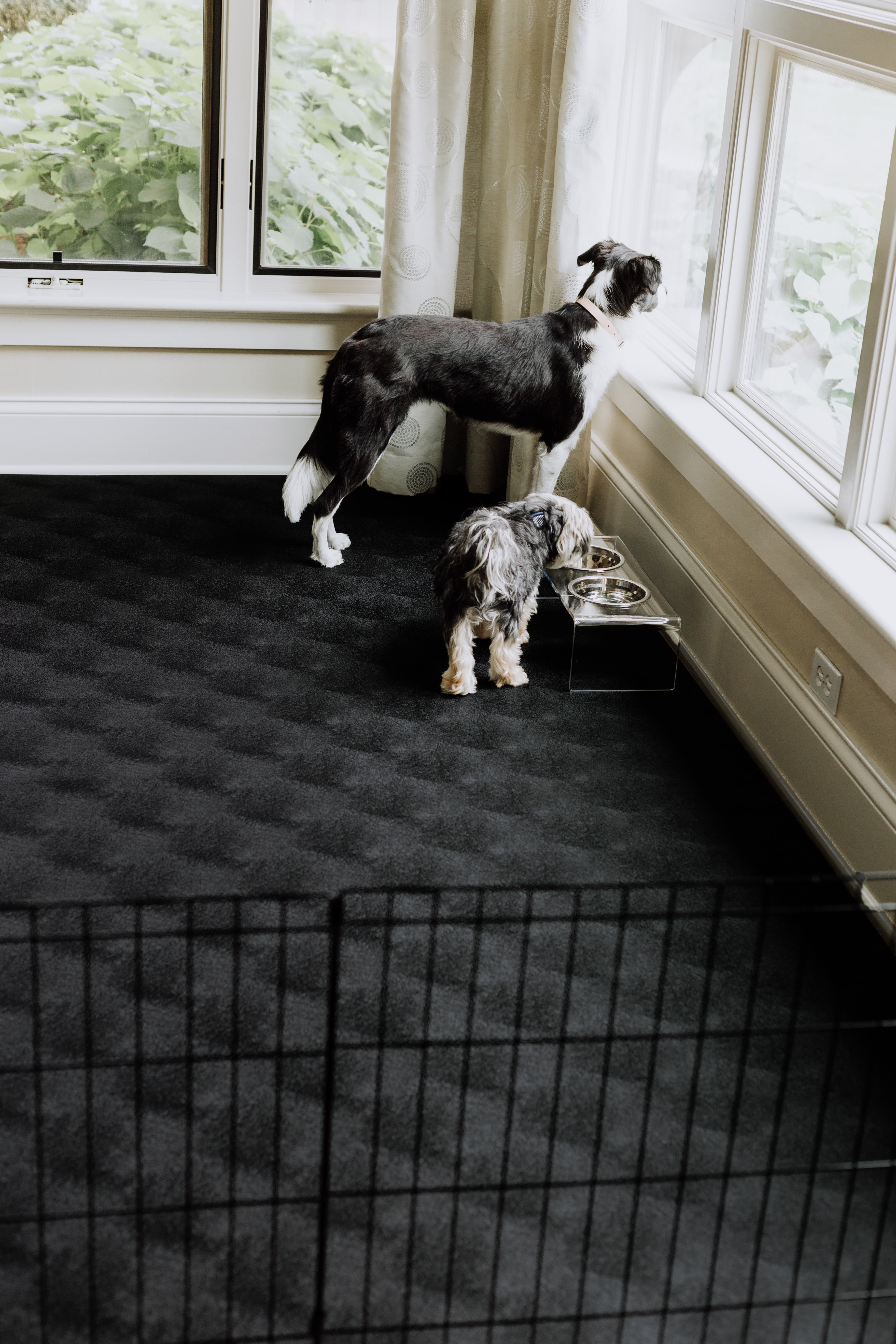 g-floor for pets levant texture protective vinyl floor covering