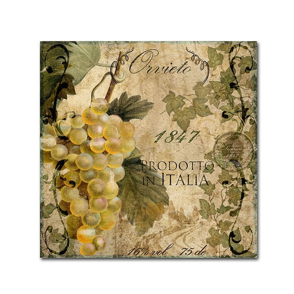 Trademark Fine Art "Vino Italiano IV" Canvas Art by Color Bakery