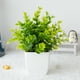 thumbnail image 1 of 1 paquete de pequeñas plantas en maceta falsas, Mini plantas de escritorio artificiales para interior, casa de campo, mesa de oficina, estante, decoración de baño, 1 of 5