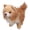 light brown, variant on Pomeranian Doll Stuffed Plush Puppy for Decoration Gift Giving and Kids Companion Soothing Gift Doll for Girl