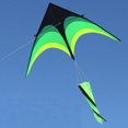 thumbnail image 3 of Cometa triangular grande de 1,6 m, cometa Delta grande de cola de 10 metros, cometa verde de juguete para exteriores, 3 of 6