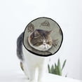 thumbnail image 1 of Travel Anchor Soft Cat Dog Recovery Collar Adjustable Cat Cone Wound Healing Protective After Surgery for Kitten and Small Dogs, 1 of 7