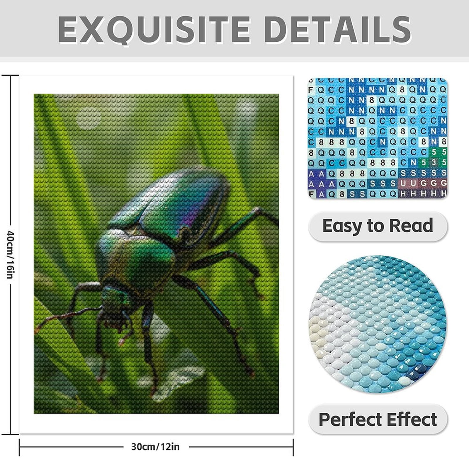 Diamond Art Kits for Adults - 5d Iridescent Beetle On Greenery Diamond Painting for Adults, Diamond Art for Adults Beginners, Diamond Painting Kits for Adults for Home Wall Decor