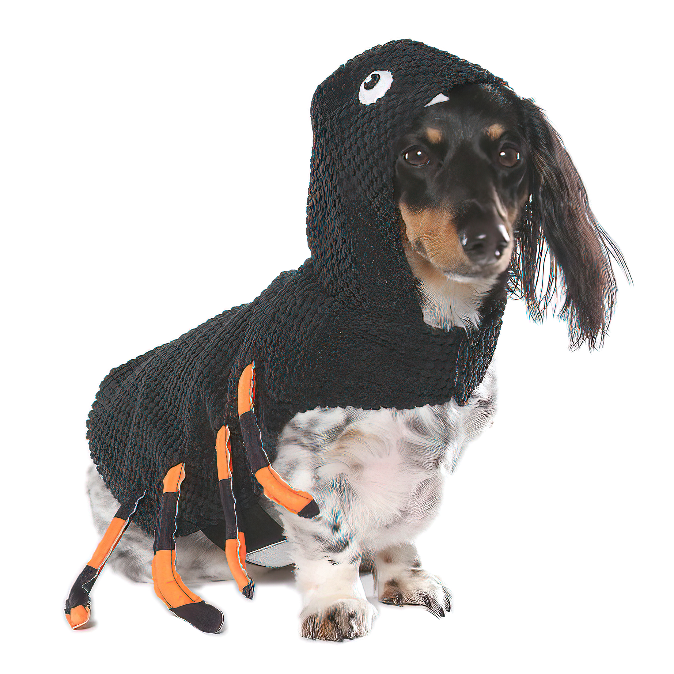 Vibrant Life Halloween Dog Costume and Cat Costume Spider, Size Small