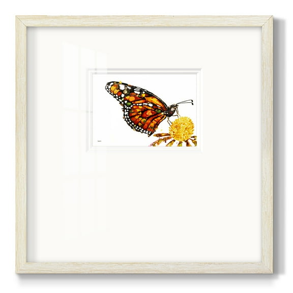 Wings I-Premium Framed Print