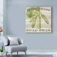 thumbnail image 3 of Trademark Fine Art 'Farm Fresh Peas' Canvas Art by Sue Schlabach, 3 of 3