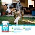 thumbnail image 6 of UBAVET Joint Gold Joint Care Powder for Dogs & Cats – 8.8 oz (250g), 6 of 7