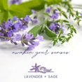 thumbnail image 3 of Bolsas de basura Color Scents Tall Kitchen, 13 galones, 100 bolsas, 3 of 8