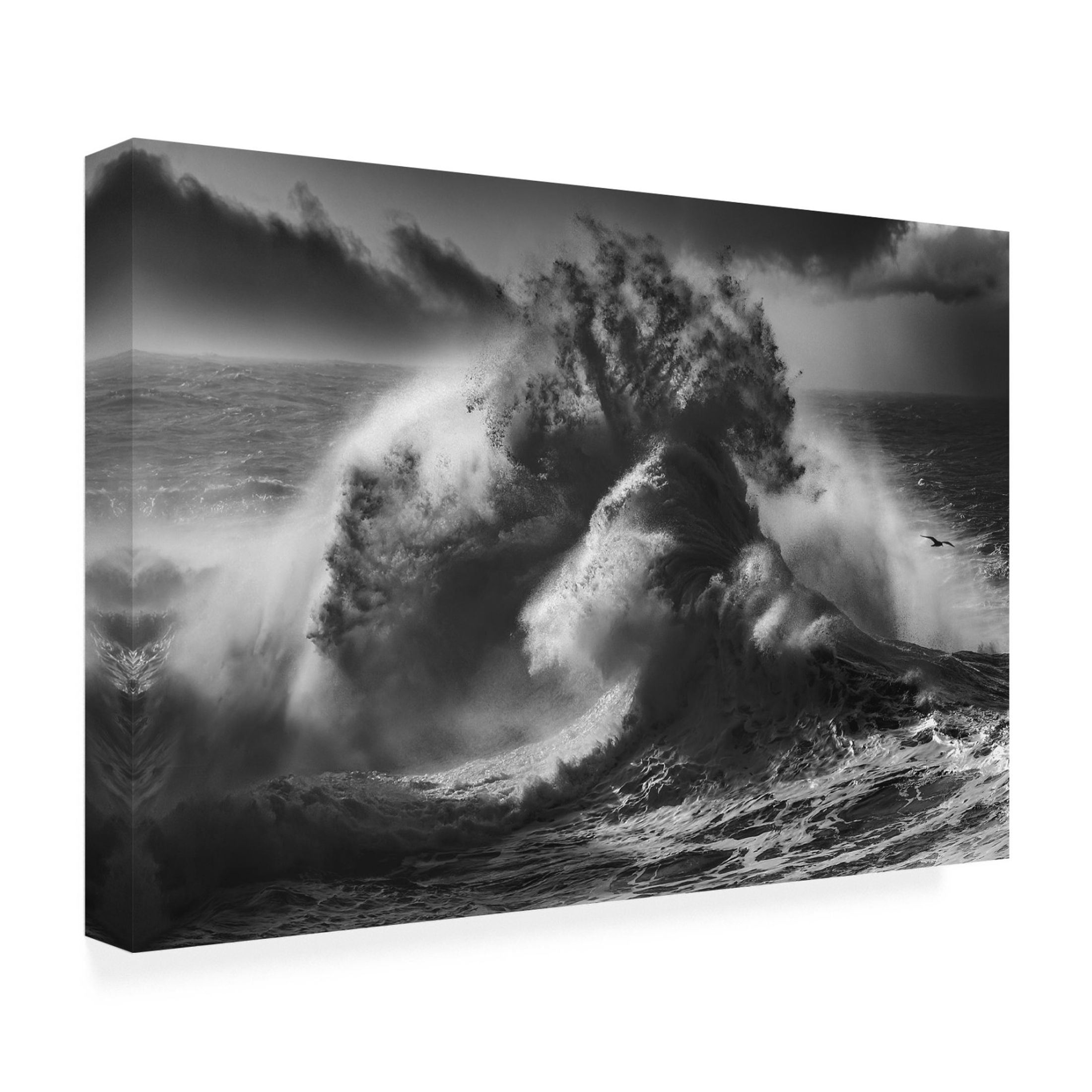 Canvas Wall Art - Paolo Lazzarotti 'Poseidon Majesty ' Wall Art for Living Room, Bedroom, or Office Décor by Trademark Fine Art - 47 x 30 Inches