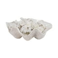 thumbnail image 6 of Decorative Pearlized Shell Bowl for Coffee Table - Home Decor Accent for Kitchen Counter, Living Room, and Entryway Display - Stylish Bowl for Key, Candy, and Catchall Dish - 5", Ivory & Tan, 6 of 12