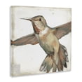 thumbnail image 4 of Stupell Industries Muted Hummingbird Portrait Animals Painting Wrapped Canvas Canvas Art Print Wall Art, 36 x 36, 4 of 8