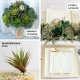 thumbnail image 4 of Efavormart Set of 3 | 18” Assorted Artificial Succulent Plants Aeonium Spray Long Stem Mini Green Plants, 4 of 11