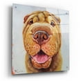 thumbnail image 2 of Epic Art 'Follow Your Nose 6' by Lucia Heffernan, Acrylic Glass Wall Art, 24"x24", 2 of 10