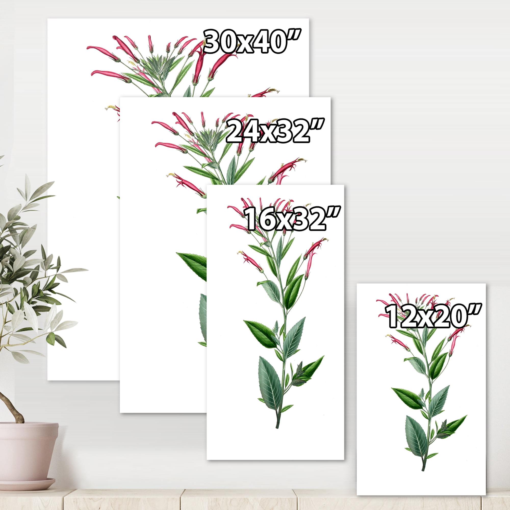 Designart ' Ancient American Flora III ' Traditional Canvas Wall Art Print