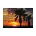 thumbnail image 2 of Gango Home Decor Sunset Palms II by Alex Williams (Printed on Paper); One 36x24in Fine Art Paper Giclee Print, 2 of 4