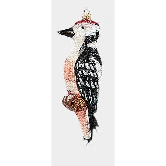 Woodpecker Bird Polish Mouth Blown Glass Christmas Ornament Tree Decoration