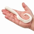 thumbnail image 3 of Berkley Gulp Saltwater Grub, 3 of 5