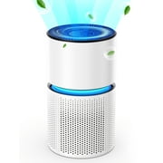 BREEZOME Air Purifier with 4-Stage Particle Filtration, up to 620 Sq. ft, Mis-touch design, Timer, True HEPA Air Purifier for Large Rooms, White