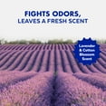 thumbnail image 5 of (2 pack) Lysol Toilet Bowl Cleaner Clinging Gel, Disinfecting Bathroom Cleaner and Toilet Bowl Stain Remover, Lavender & Cotton Blossom Scent, 24 fl oz, 5 of 12