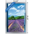 thumbnail image 3 of Lavender Field Wall Poster, 14.725" x 22.375", Framed, 3 of 5
