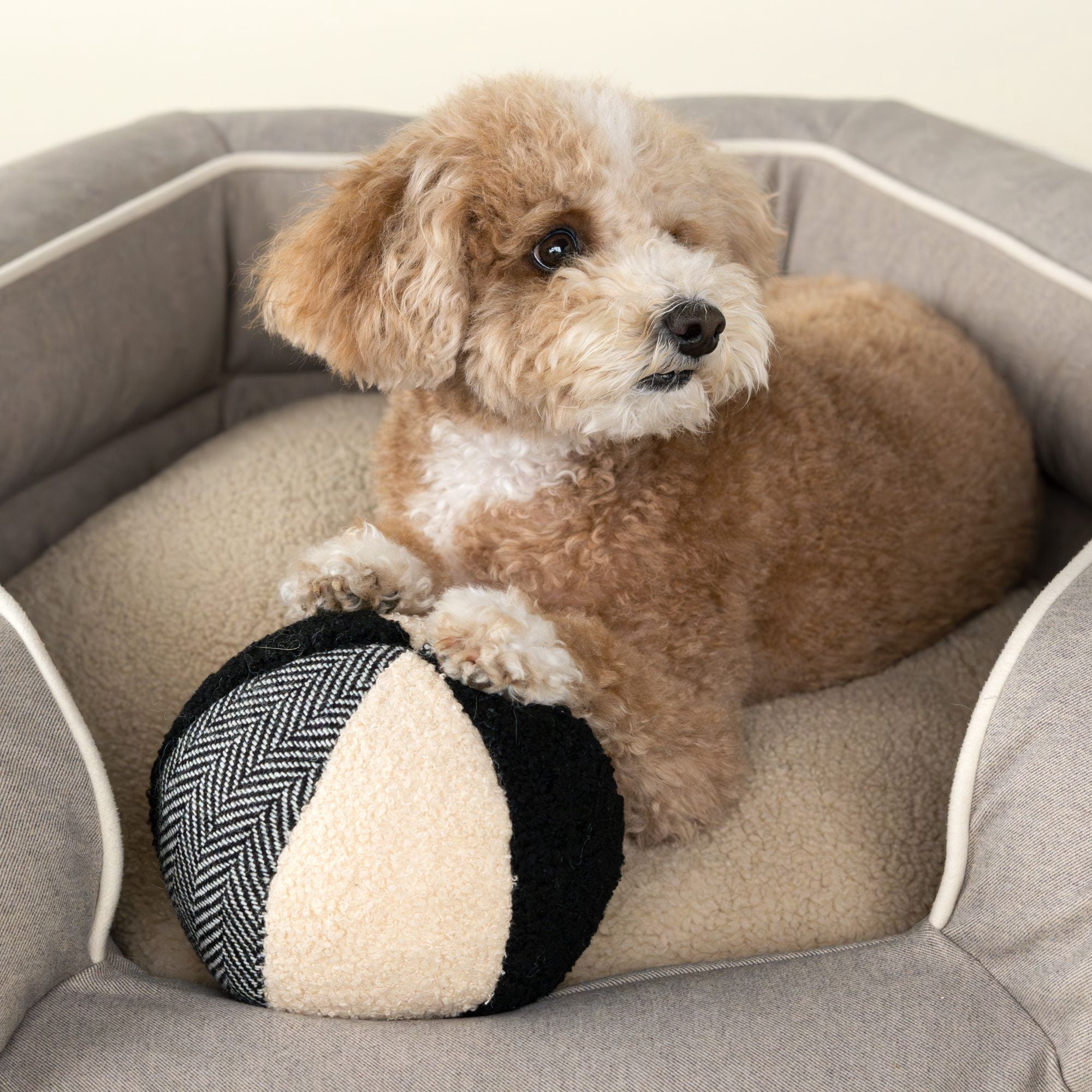 Harry Barker Durable Plush Dog Toys, Mixed Media Durable Ball