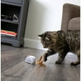 thumbnail image 6 of Petlinks Bumper Mouse Electronic Motion Cat Toy, 6 of 12