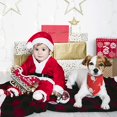 thumbnail image 3 of 4 Bandanas para Perros de Navidad, Bandana Triángulo de Navidad Ajustable para Perros, Bandana para Mascotas Lavable Decoraciones de Navidad, para Perros pequeños, Medianos, Grandes y,11 Feliz Sencillez, 3 of 5