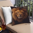 thumbnail image 1 of Ahgly Company Coussin d'Extérieur Animaux Lion, 18 Pouces par 18 Pouces, 1 of 6