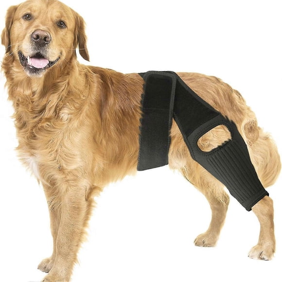 Perro Rodilla Soporte para Torn ACL Hind Leg, Rear Leg Cruciate Ligament Soportes para Perros, Strong Support to Reduce Joint Pain y Muscle Sore