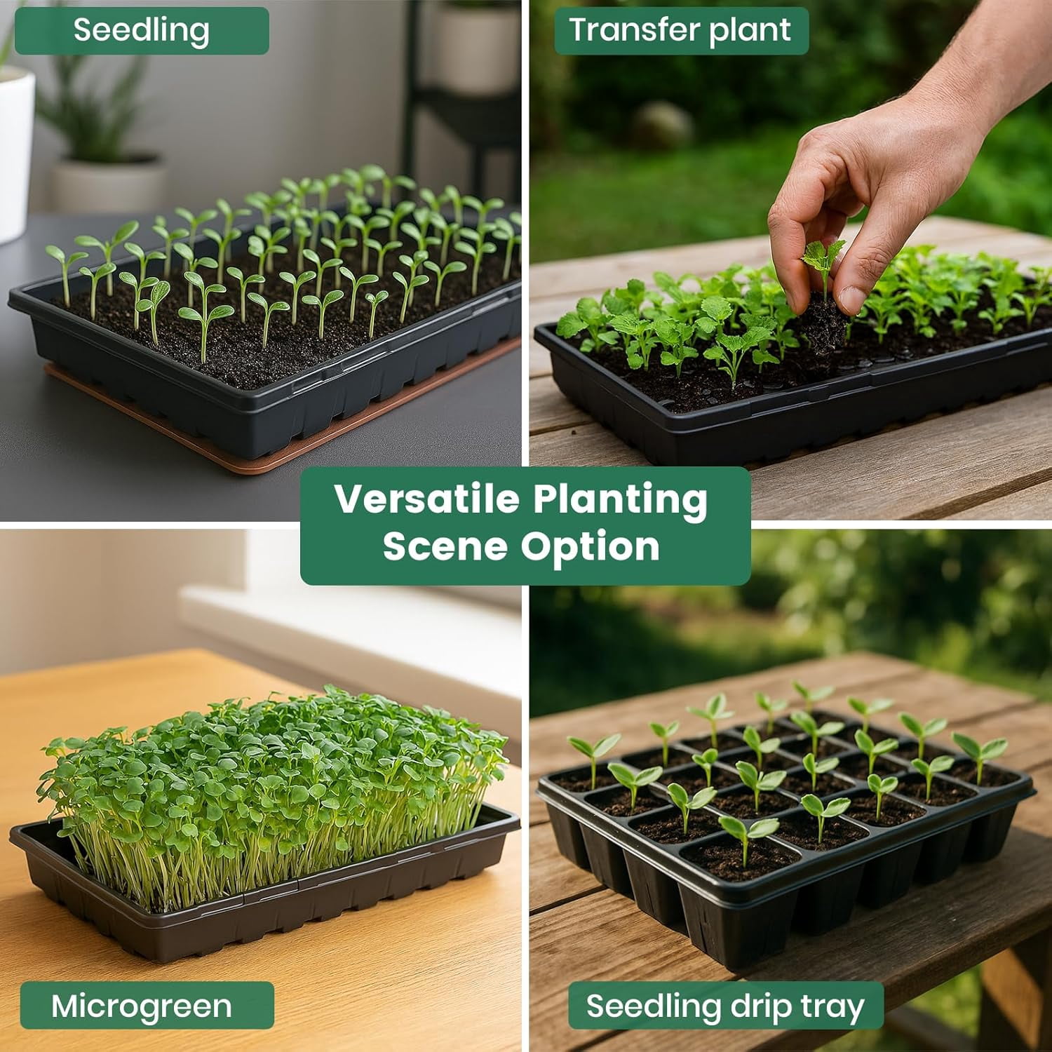 5 Pack 1020 Seed Starter Trays with 3.6" Humidity Dome Plant Growing Tray Germination Seed Starting kit, Mini Greenhouse with Handle for Cloning Plant