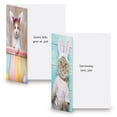 thumbnail image 6 of Current Picture This Dogs and Cats Easter Cards - Set of 8, 2 of Each Design, 5" x 7", Easter Pet Cards, 6 of 7