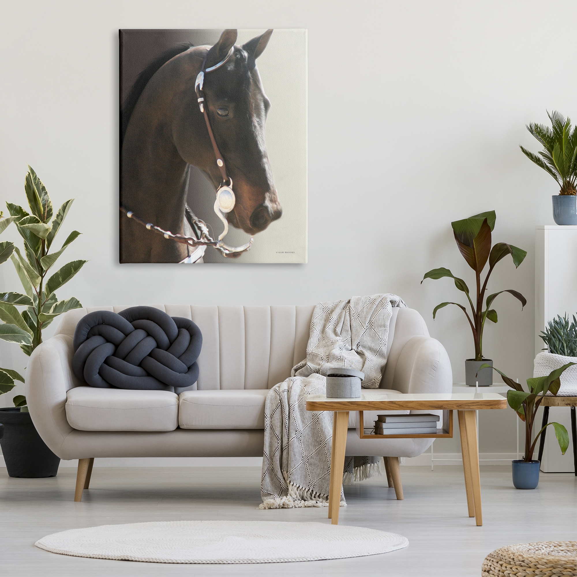 Stupell Industries Horse with Bridle Animals & Insects Photography Gallery Wrapped Canvas Art Print Wall Art, 36 x 48