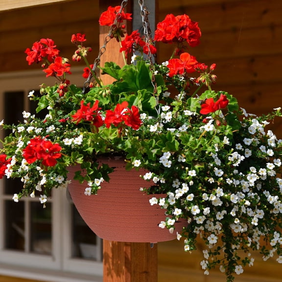 LOLIPPYY Hanging Planter Pot Round Plastic with Self Watering Feature for Front Porch 1Pack