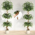 thumbnail image 4 of Ficus Artificial Tree with Curved Trunk，Faux Plant Fake Silk Trees with White Pot, Fake Ficus Tree for Home Decor, Indoor Outdoor House Living Room, 4 of 7