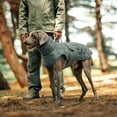 thumbnail image 5 of Waterproof Dog Winter Jacket for Medium Large Dogs, Windproof Reflective Coat with Warm Fleece Interior, Adjustable Cold Weather Protection with Hook & Loop Closure, 5 of 8
