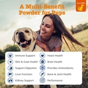 Zesty Paws 10-in-1 Multivitamin Powder Salmon Flavor Dog Supplement