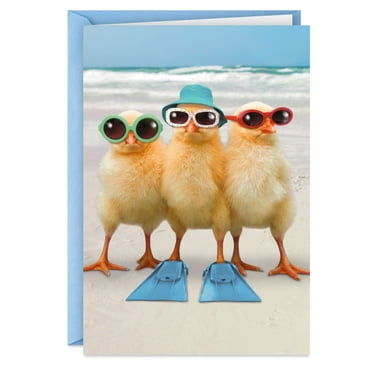 Hallmark Shoebox Funny Get Well Card (A Few Warm Fuzzies)