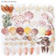 thumbnail image 3 of Conchas marinas Sea Shells Fangoo Mixed Beach, 9 tipos, +70 unidades, 3 of 7