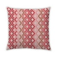thumbnail image 1 of Ahgly Company Indoor Square Contemporary Throw Pillow, 18 inch by 18 inch, 1 of 5