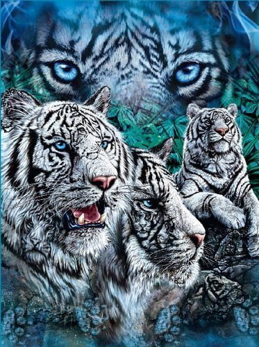 Find White Tigers Tiger fleece blanket  throw NEW 