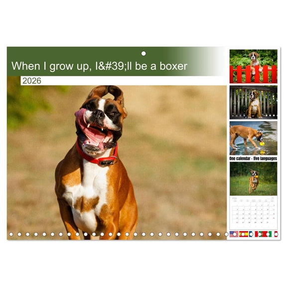 When I grow up, I'll be a boxer (Monthly Wall Calendar 2026 11.7 x 16.5 (open)), CALVENDO 14 Month Calendar