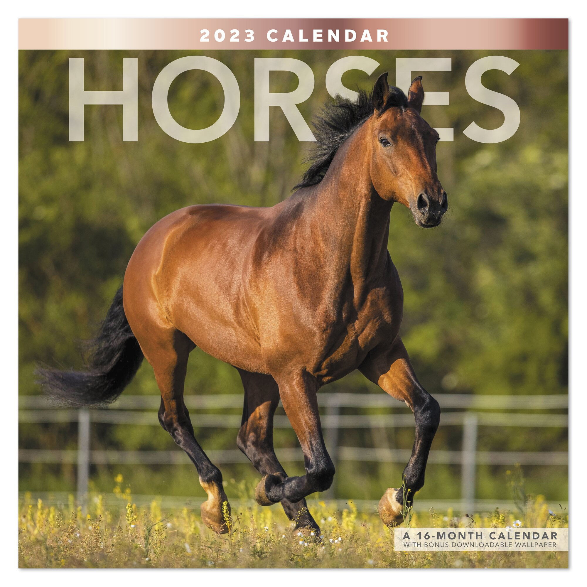 Horses 2023 Monthly Wall Calendar 12 x 12 - Wall Calendars