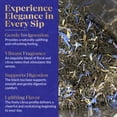 thumbnail image 3 of Fragrant Tales Earl Grey | 1LB (454g) | Loose Leaf Black Tea | Premium Ceylon Tea with Natural Bergamot Aroma & Blue Cornflower Petals | Strong, Smooth Flavor | Bulk Resealable Bag, 3 of 5