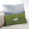 thumbnail image 1 of Ahgly Company Animals Swan Indoor Throw Pillow, 18 inch by 18 inch, 1 of 6