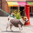 thumbnail image 7 of Fievgin Dog Sweater with Leash Ring, Soft Warm Winter Fleece Vest for Small Dogs Cats Puppy Size XL, 7 of 7