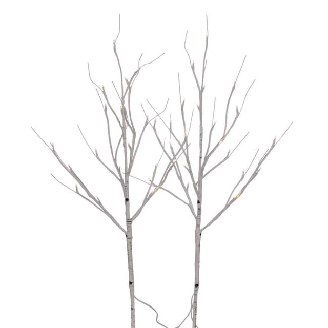 Vickerman X221530 30 in. 40 Warm White LED Battery Operated Birch Branch, White - 2 Piece Per Bag