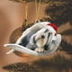 thumbnail image 5 of onlyliua ¡ ¡Descuentos de Temporada! Decoraciones Coloridas En Navidad, 5 of 5